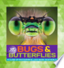 Bugs___Butterflies