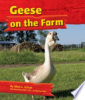 Geese_on_the_farm