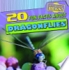 20_fun_facts_about_dragonflies