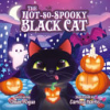 The_not-so-spooky_black_cat