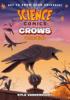 Crows__Genius_Birds