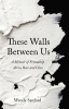 These_walls_between_us