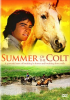 Summer_of_the_colt