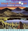 Walk_Two_Moons