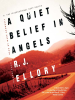 A_Quiet_Belief_in_Angels