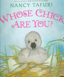 Whose_chick_are_you_
