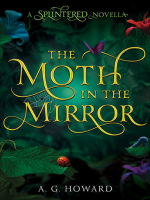 The_Moth_in_the_Mirror
