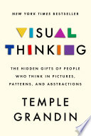Visual_thinking