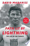 Path_lit_by_lightning