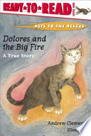 Dolores_and_the_big_fire