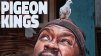Pigeon_Kings