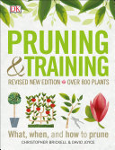 Pruning___training