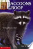 Raccoons_on_the_Roof
