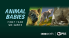 Animal_Babies__First_Year_on_Earth